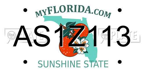 AS1Z113 Florida License Plate