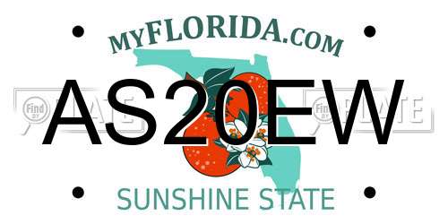 AS20EW Florida License Plate
