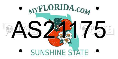 AS21175 Florida License Plate