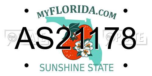 AS21178 Florida License Plate