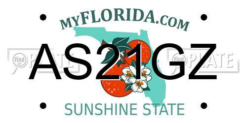 AS21GZ Florida License Plate