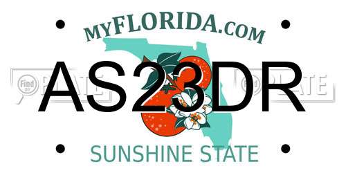 AS23DR Florida License Plate