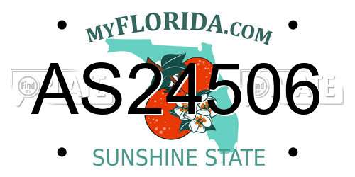 AS24506 Florida License Plate
