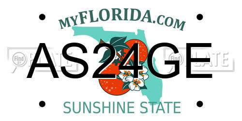 AS24GE Florida License Plate