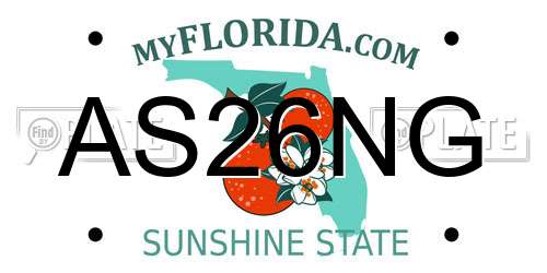 AS26NG Florida License Plate