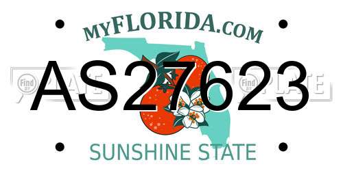 AS27623 Florida License Plate