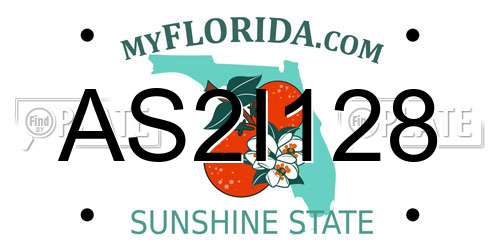 AS2I128 Florida License Plate