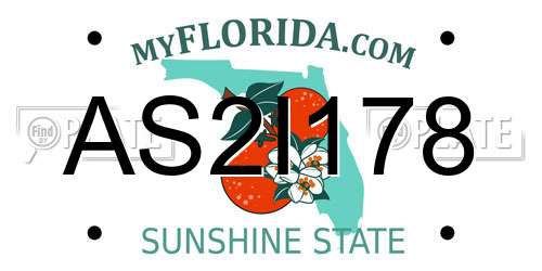 AS2I178 Florida License Plate