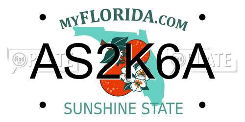 AS2K6A Florida License Plate