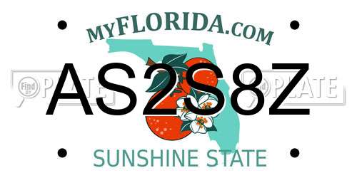 AS2S8Z Florida License Plate