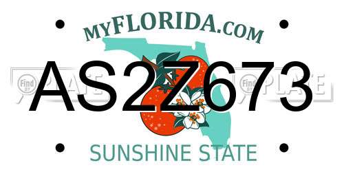 AS2Z673 Florida License Plate