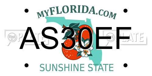 AS30EF Florida License Plate