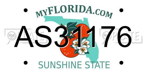 AS31176 Florida License Plate