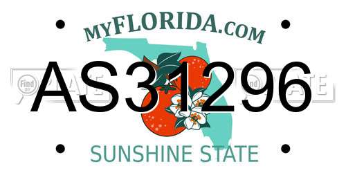 AS31296 Florida License Plate