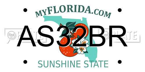 AS32BR Florida License Plate