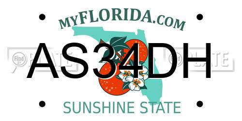 AS34DH Florida License Plate