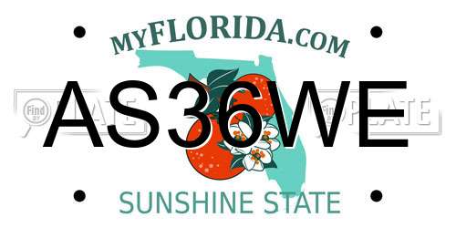 AS36WE Florida License Plate