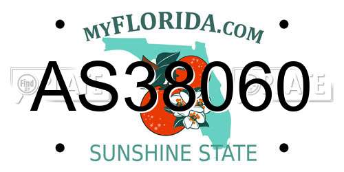 AS38060 Florida License Plate