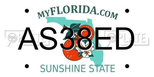 AS38ED Florida License Plate