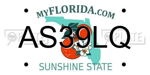 AS39LQ Florida License Plate