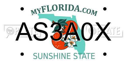 AS3A0X Florida License Plate