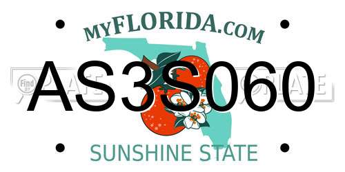 AS3S060 Florida License Plate