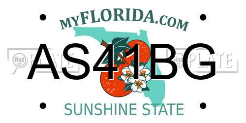 AS41BG Florida License Plate