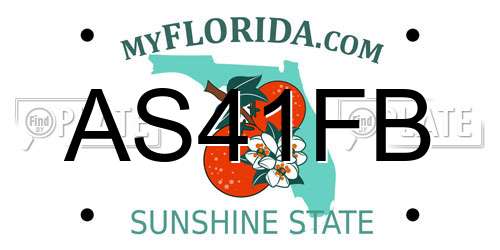 AS41FB Florida License Plate