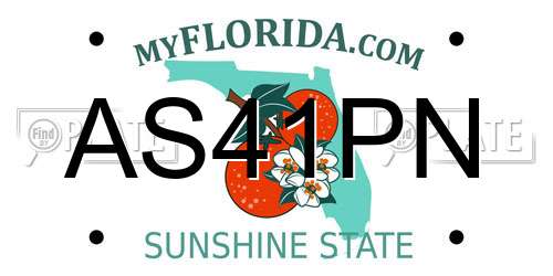 AS41PN Florida License Plate