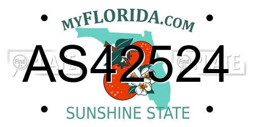 AS42524 Florida License Plate