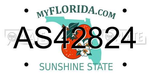 AS42824 Florida License Plate