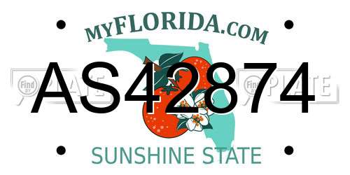 AS42874 Florida License Plate