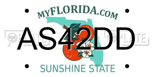 AS42DD Florida License Plate