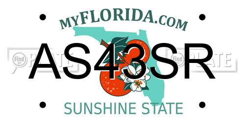 AS43SR Florida License Plate