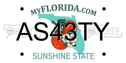 AS43TY Florida License Plate