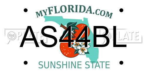 AS44BL Florida License Plate