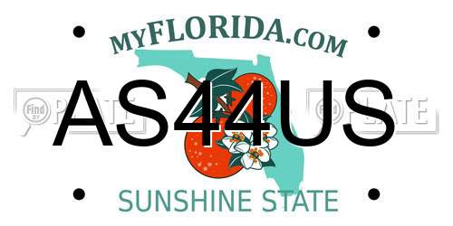 AS44US Florida License Plate
