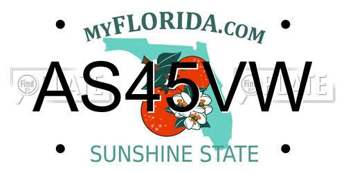 AS45VW Florida License Plate