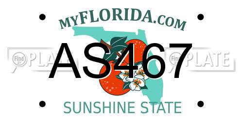 AS467 Florida License Plate
