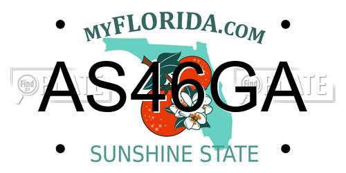 AS46GA Florida License Plate