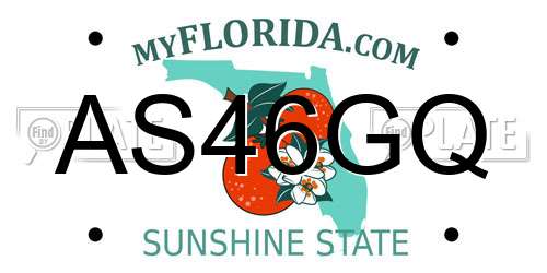 AS46GQ Florida License Plate