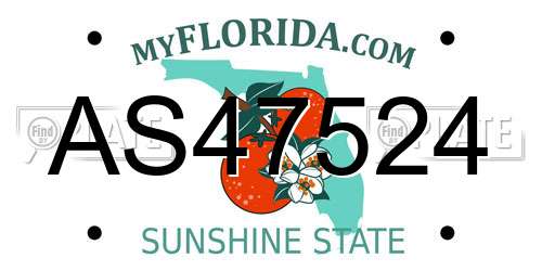 AS47524 Florida License Plate