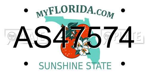 AS47574 Florida License Plate