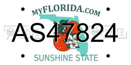 AS47824 Florida License Plate