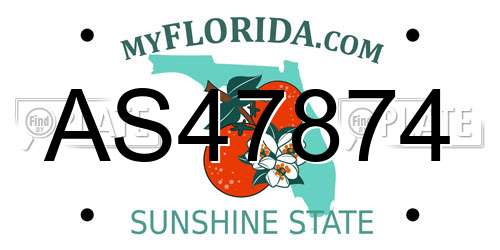 AS47874 Florida License Plate