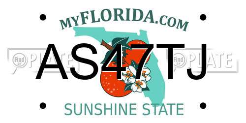 AS47TJ Florida License Plate