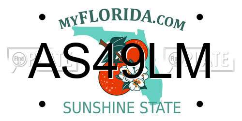 AS49LM Florida License Plate