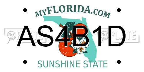 AS4B1D Florida License Plate