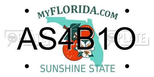 AS4B1O Florida License Plate