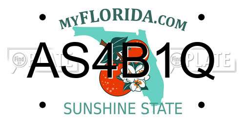 AS4B1Q Florida License Plate